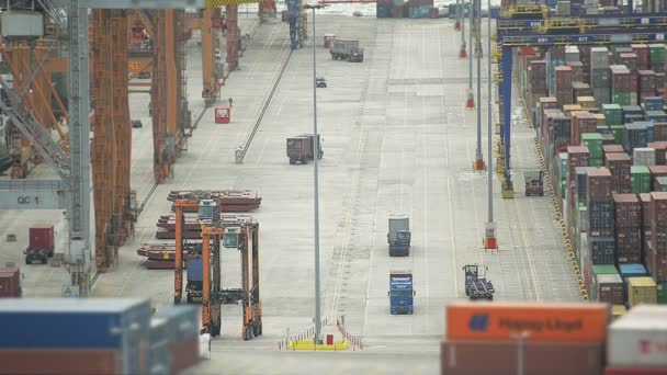 Průmysl: Pohled z pohledu shora nákladní přístav — Stock video