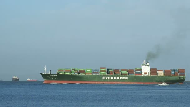Statek załadowany z kontenerami żagle na morzu — Wideo stockowe