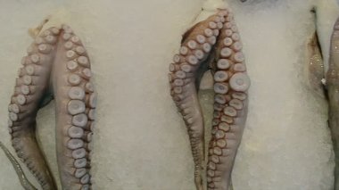 Ağır çekim: Ahtapot ve mürekkep balık pazarında kapatın