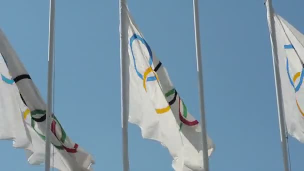 Close up Olympic flags zijn het officiële symbool van de Olympische spelen — Stockvideo