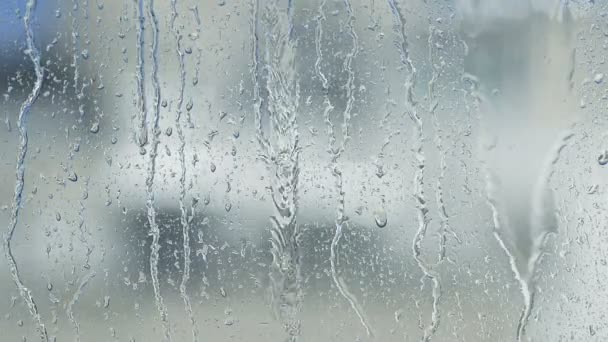 Sommerregen prasselt auf Fenster — Stockvideo