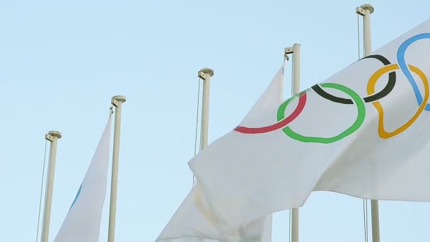 Повільний рух Олімпійського прапори офіційний символ — стокове відео