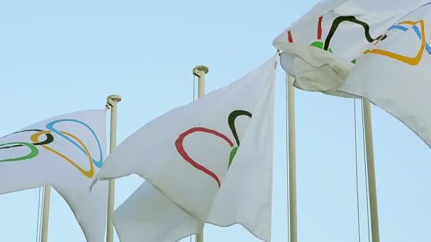 Olympische vlaggen zijn het officiële symbool van de Olympische spelen — Stockvideo