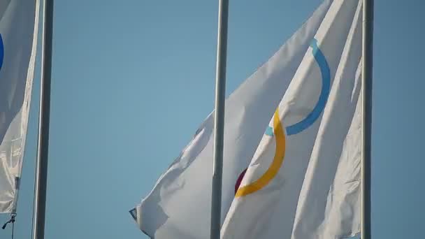 Closeup olympic flags are the official symbol of the Olympic Games in Rio — Stock Video