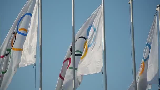 Abstracte Olympische vlaggen zijn het officiële symbool van de Olympische spelen — Stockvideo