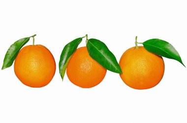 Üç portakal