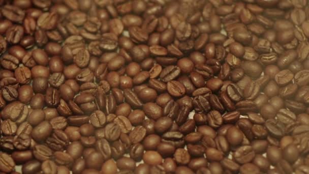 Steamy coffee beans — Stock Video