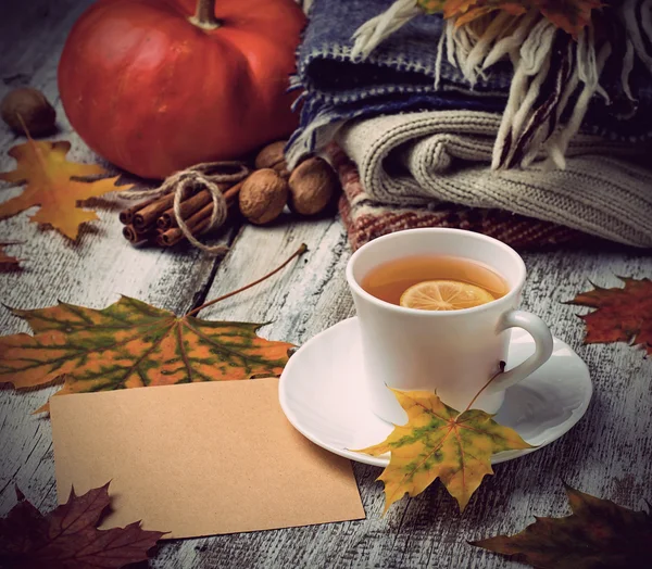 Tazza di tè e vestiti caldi . — Foto Stock