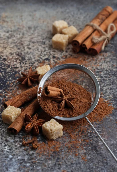 Poudre de cacao, bâtonnets de cannelle et anis — Photo