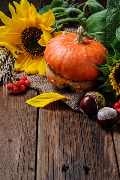 Nature morte d'automne avec citrouille et tournesol — Photo