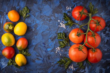 Domates, tuz ve maydanoz mavi beton zemin üzerine