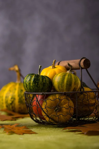 Verschiedene dekorative Kürbisse. Herbstkonzept — Stockfoto