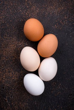 Tavuk yumurtalarının gradyanı aydınlıktan karanlığa