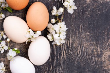 Tavuk yumurtalarının gradyanı aydınlıktan karanlığa