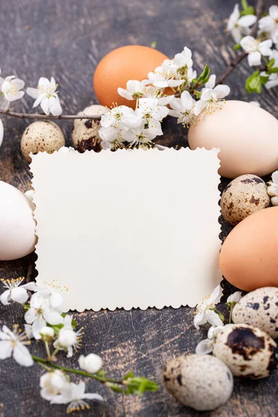 Ovos de galinha e codorniz com ramo florescente — Fotografia de Stock