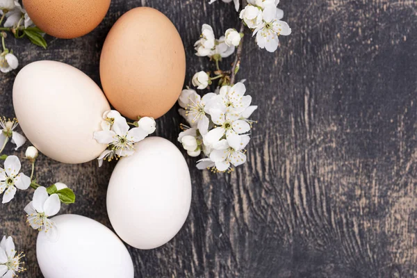 Oeufs de poulet dégradés de clair à foncé — Photo