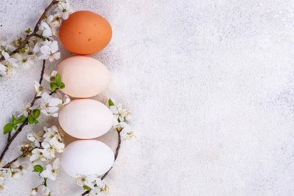 Oeufs de poulet dégradés de clair à foncé — Photo