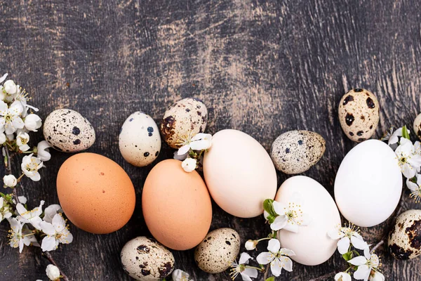 Œufs de poulet et de caille avec branche en fleurs — Photo