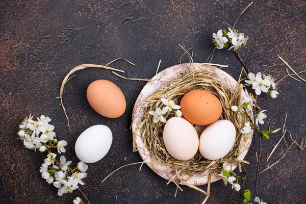 Composição de Páscoa com ovos e ramo florescendo — Fotografia de Stock