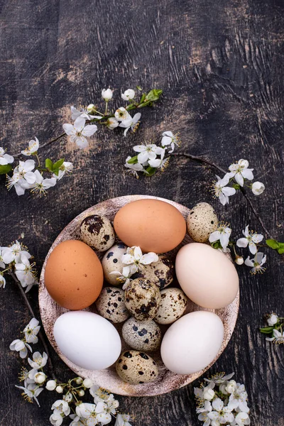 Œufs de poulet et de caille avec branche en fleurs — Photo