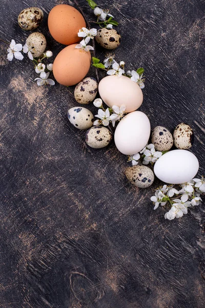 Œufs de poulet et de caille avec branche en fleurs — Photo