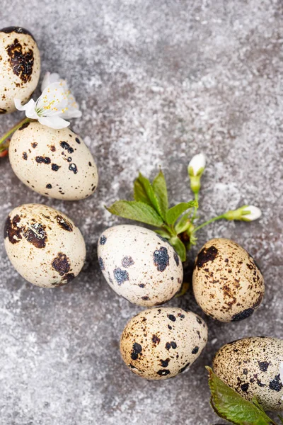 Concetto pasquale. Uova di quaglia e fiori primaverili — Foto Stock