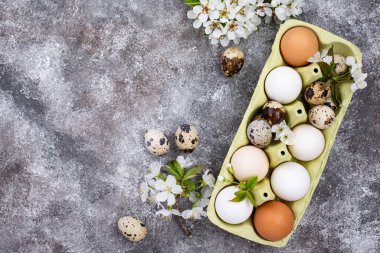 Paskalya konsepti. Tavuk ve bıldırcın yumurtası..