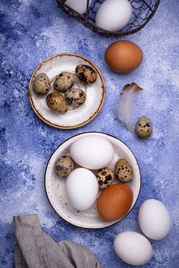 Mavi arka planda bıldırcın ve tavuk yumurtası.
