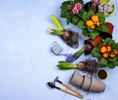 Çiçek açan bahar bahçıvanlığı konsepti