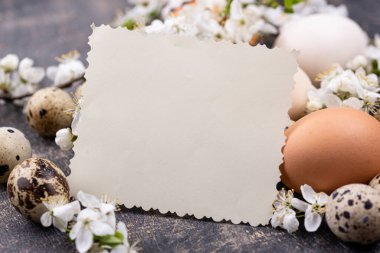 Çiçekli tavuk ve bıldırcın yumurtaları.