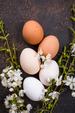 Tavuk yumurtalarının gradyanı aydınlıktan karanlığa