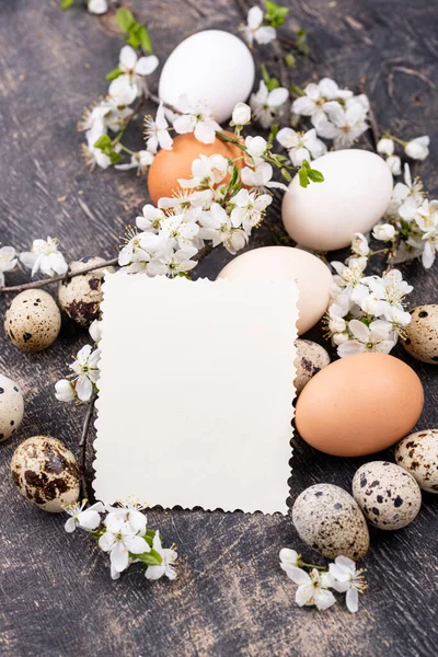 Ovos de galinha e codorniz com ramo florescente — Fotografia de Stock