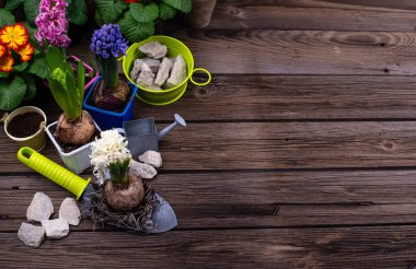 Çiçek açan bahar bahçıvanlığı konsepti