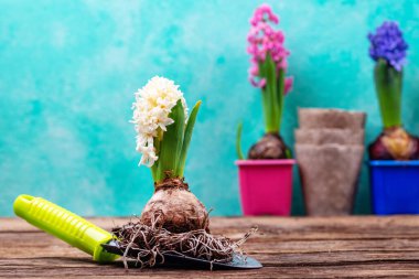 Çiçek açan bahar bahçıvanlığı konsepti