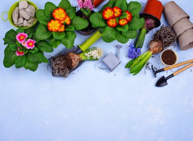 Çiçek açan bahar bahçıvanlığı konsepti