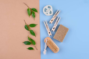 Sıfır atık çevre dostu fırça ve sabun.