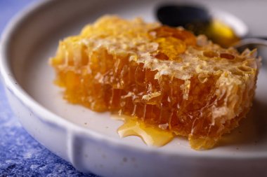 Mavi arkaplanda plaka içinde bal peteği