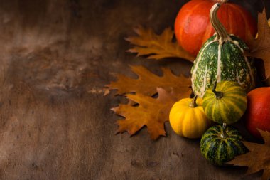 Çeşitli dekoratif balkabakları. Sonbahar konsepti