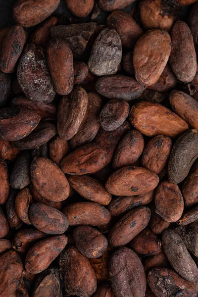 Textura alimentar de grãos de cacau. — Fotografia de Stock