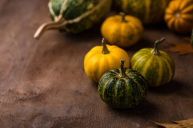 Çeşitli dekoratif balkabakları. Sonbahar konsepti