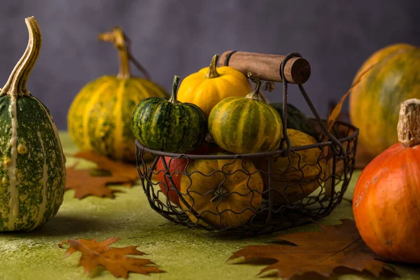 Diverses citrouilles décoratives. Concept d'automne — Photo