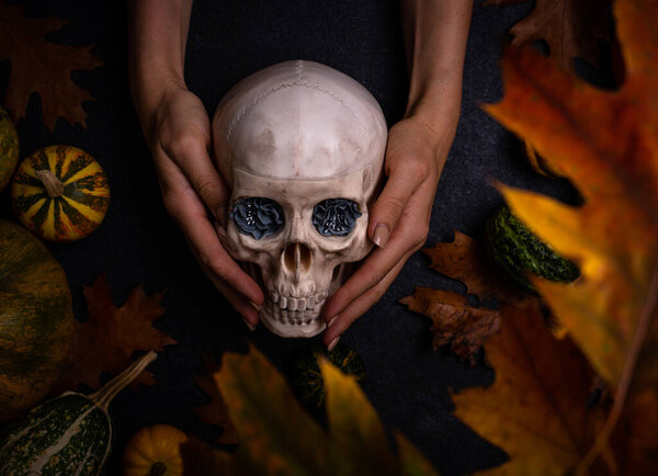 Halloween autumn background with skull