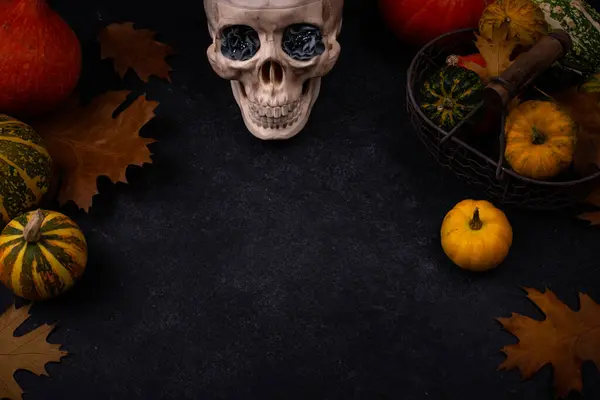 Хэллоуин осенний фон с черепом — стоковое фото