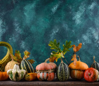 Çeşitli dekoratif balkabakları ve kuru yapraklar..