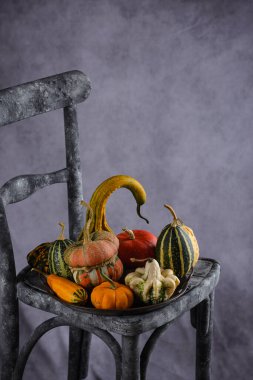 Çeşitli dekoratif balkabakları ve kuru yapraklar..