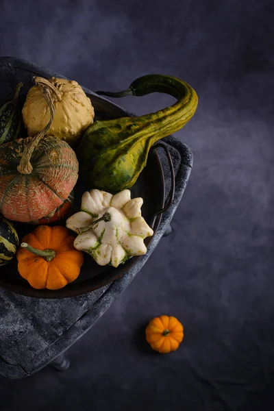 Diverses citrouilles décoratives et feuilles sèches. — Photo