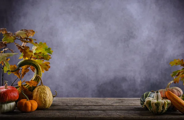 Diverses citrouilles décoratives et feuilles sèches. — Photo