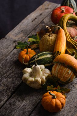 Çeşitli dekoratif balkabakları ve kuru yapraklar..