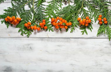çam ağacı ve rowan berry ile Noel çerçeve 