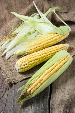 Tahta masada taze mısır.
